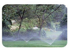 irrigation